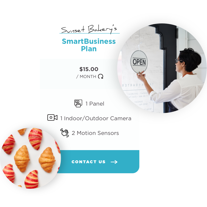 smart business plan sim only